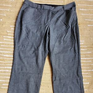 Express publicist barely boot pants